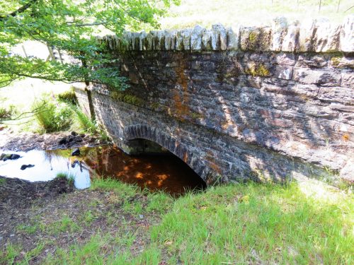 23.-Exe-Bridge-Downstream-Arch-5