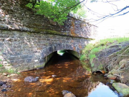 23.-Exe-Bridge-Downstream-Arch-6