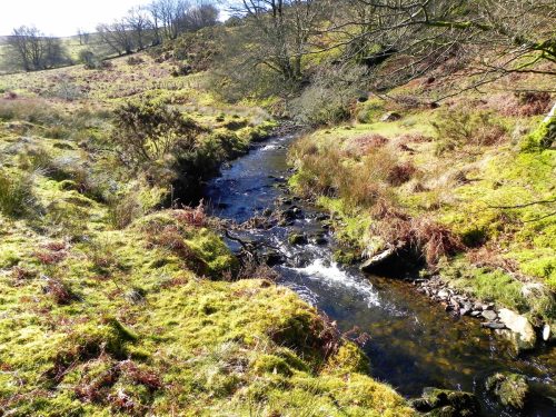 23.-Flowing-below-Furzehill-Common-2