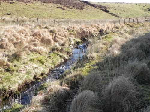 23.-Flowing-below-Hoccombe-Hill