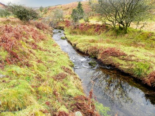 23.-Flowing-below-Mill-Hill-2