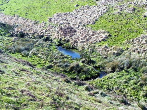 23.-Flowing-through-Madacombe-2