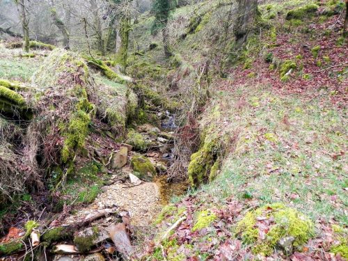 23.-Flowing-through-Mansley-Combe-2