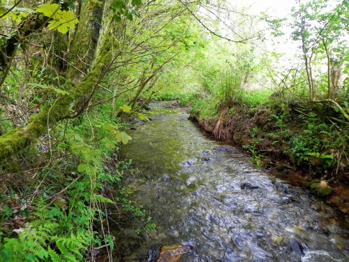 23.-Flowing-through-Roadway-Wood-18