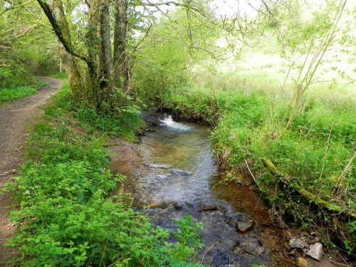 23.-Flowing-through-Roadway-Wood-22