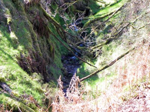 23.-Flowing-through-ravine-2