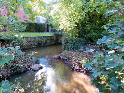 23.-Gaol-Stream-joins-the-Mill-Stream-2