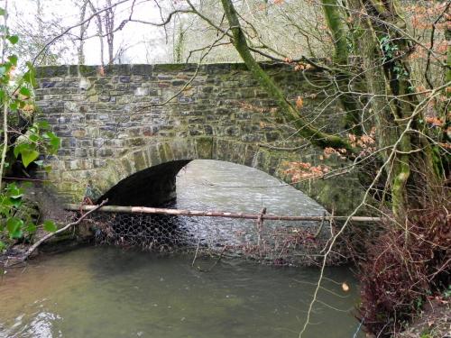 23.-Haynemoor-Wood-Bridge-downstream-arch-2