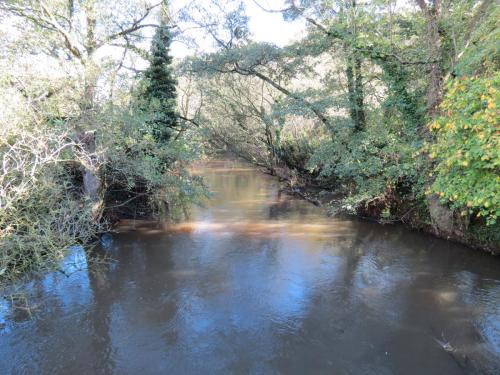 23.-Looking-downstream-from-Netherclay-Footbridge