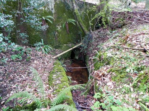 23.-Luccombe-Plantation-Bridge-downstream-arch-2
