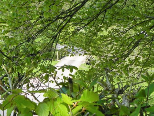 23.-Roadwater-Fishery-Bridge-2