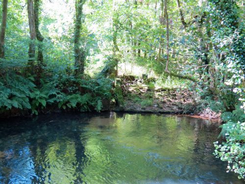 23.-Spring-Cottage-Weir-remains-2
