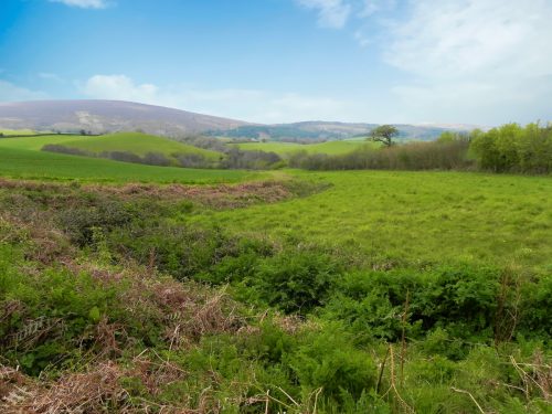 23.-Tivington-Knowle-headstream-2