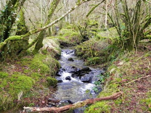 23.-Tributary-Stream-from-Park-Wood-2