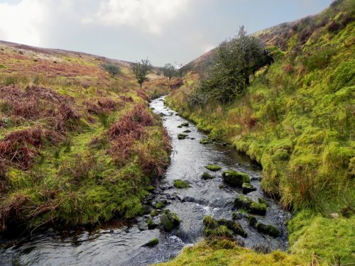 23.-Upstream-from-Colley-Water-2