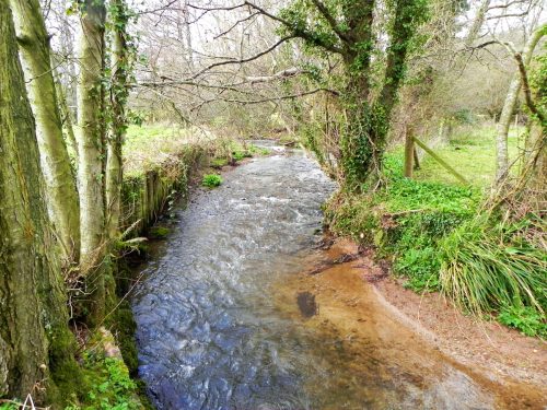 23.-Upstream-from-Cow-Bridge-2