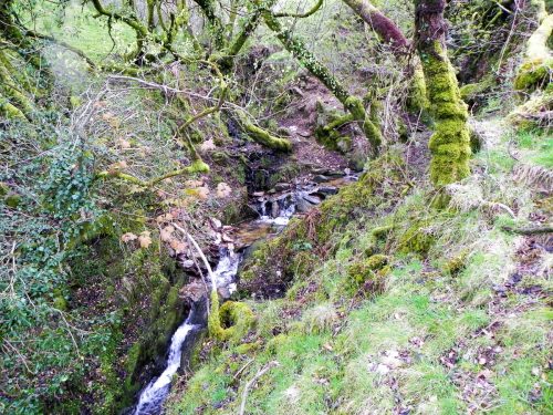 23.-Upstream-from-Higher-Holworthy-2