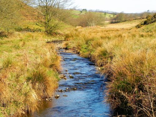 23.-Upstream-from-Lower-Willingford-Bridge-2