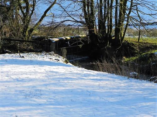 23.-Upstream-from-Westermill-Farm-Ford-2