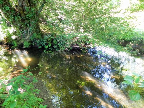 23a.-Downstream-from-Gardeners-Bridge-2