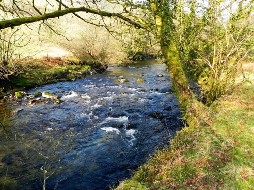 24.-Downstream-from-Cinder-Pool-2