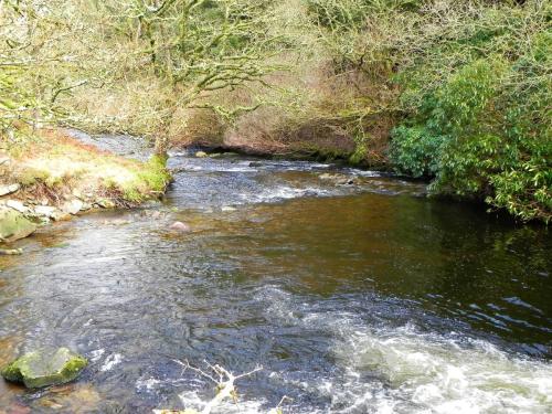 24.-Downstream-from-Lank-Combe-Water-2