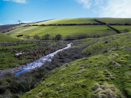 24.-Downstream-from-Long-Holcombe-Water-2