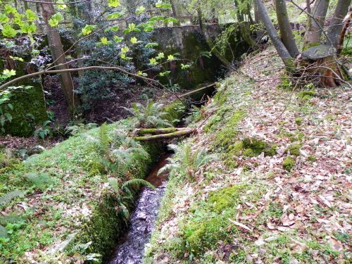 24.-Downstream-from-Luccombe-Plantation-Bridge-2
