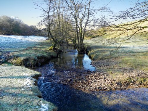 24.-Downstream-from-Luckwell-Bridge-2