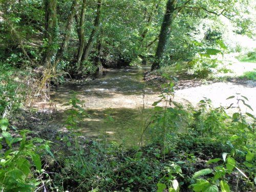24.-Downstream-from-Tuck-Mill-lower-weir-2