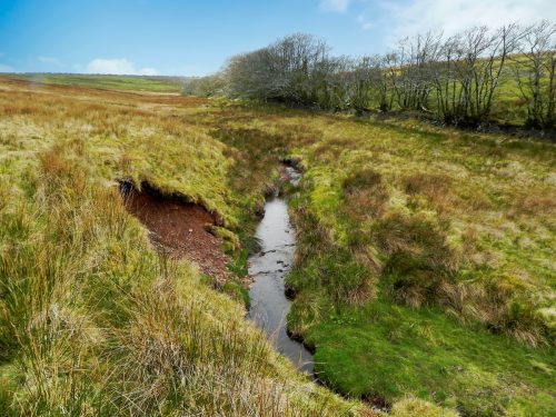 24.-Early-stream-approx-950-metres-from-source-2