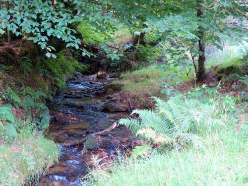 24.-Flowing-below-Beaters-Rocks-2