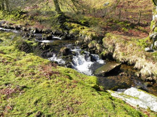 24.-Flowing-below-Furzehill-Common-2