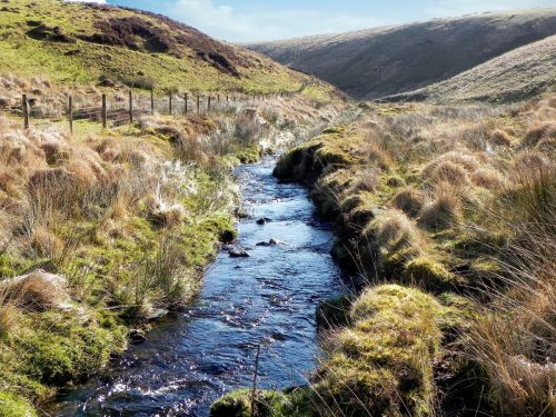 24.-Flowing-below-Hoccombe-Hill-2