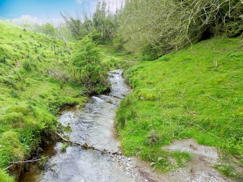 24.-Flowing-below-Selham-Wood-10