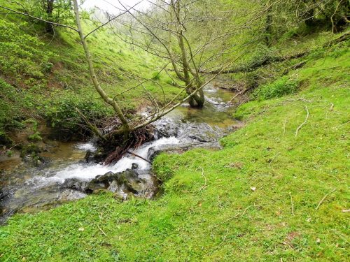 24.-Flowing-below-Selham-Wood-11