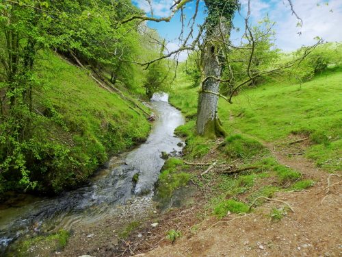 24.-Flowing-below-Selham-Wood-13