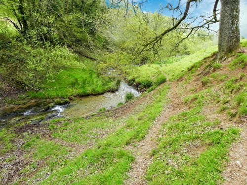 24.-Flowing-below-Selham-Wood-14