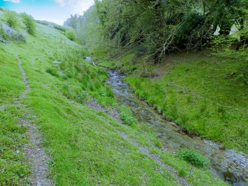 24.-Flowing-below-Selham-Wood-15