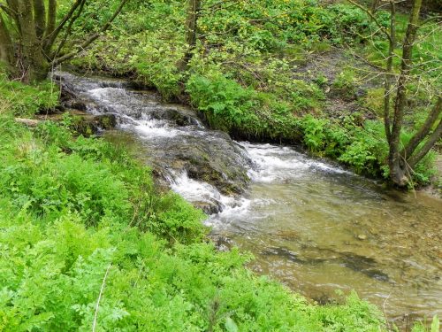 24.-Flowing-below-Selham-Wood-16