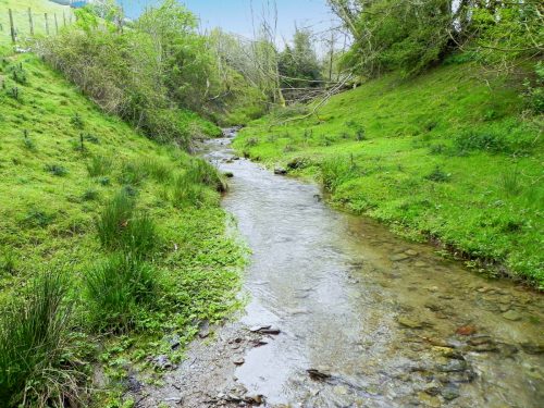 24.-Flowing-below-Selham-Wood-9