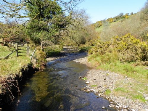 24.-Flowing-below-Shircombe-Farm-2