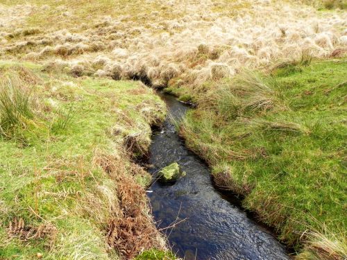24.-Flowing-past-Hurdle-Down-2