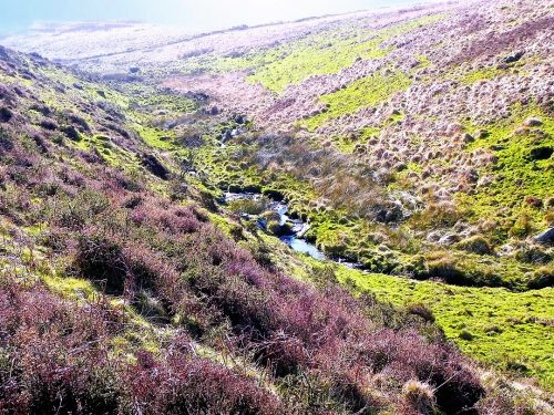 24.-Flowing-through-Madacombe-4