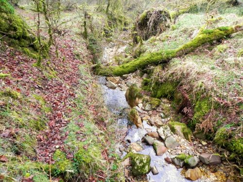 24.-Flowing-through-Mansley-Combe-2