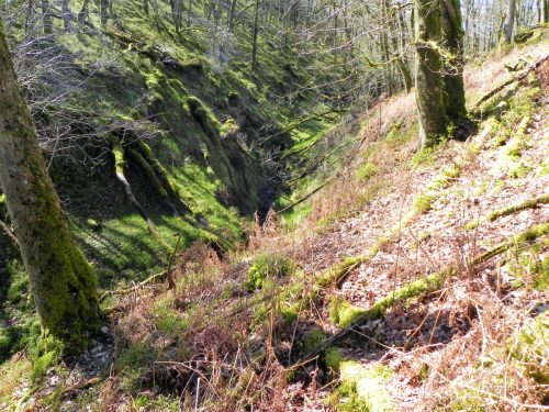 24.-Flowing-through-ravine-2