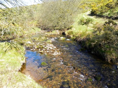 24.-Looking-upstream-from-Flood-Debris-Barrier-2