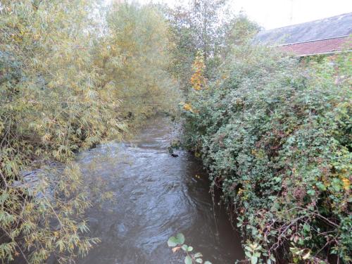 24.-Looking-upstream-from-Tonedale-Mill-bridge