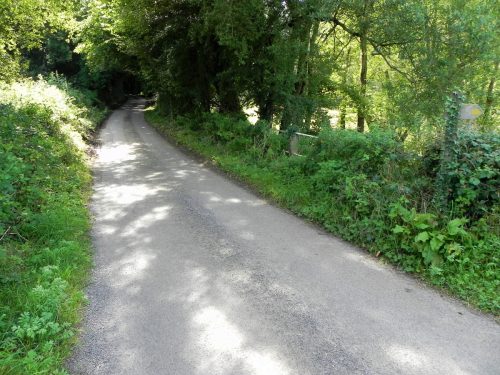 24.-Perry-Copse-Tributary-Stream-Bridge-2
