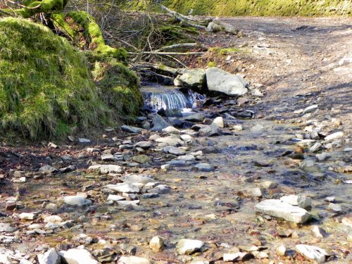 24.-Tributary-stream-from-Shortacombe-2